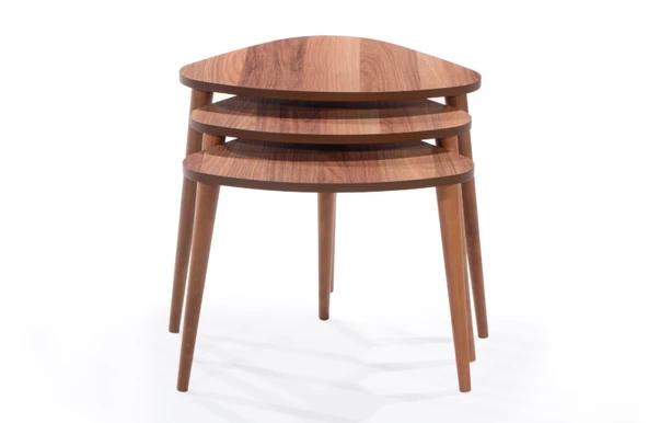 OVAL DEMONTE ZİGON - Resim 3