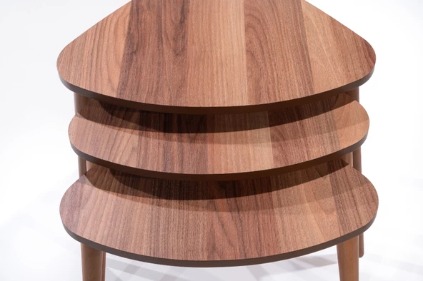 OVAL DEMONTE ZİGON - Resim 4