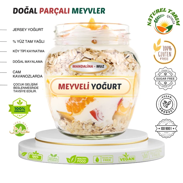 NATUREL MEYVE PARÇALI YOĞURT