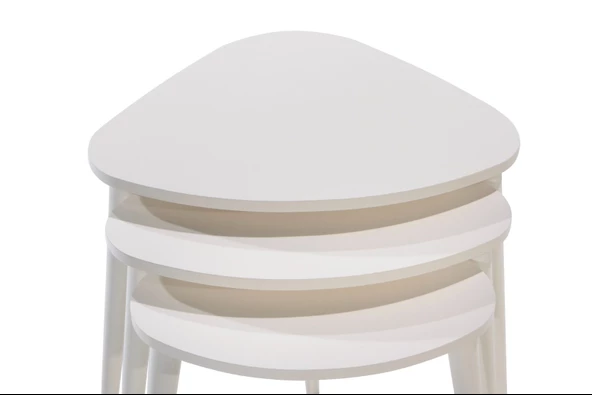 OVAL DEMONTE ZİGON - Resim 3