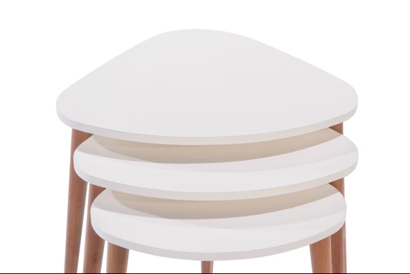 OVAL DEMONTE ZİGON - Resim 4