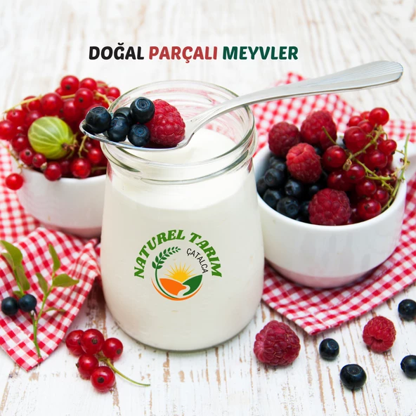 NATUREL PARÇALI MEYVELİ YOĞURT - 3