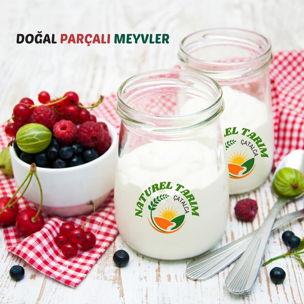 NATUREL PARÇALI MEYVELİ YOĞURT - 2