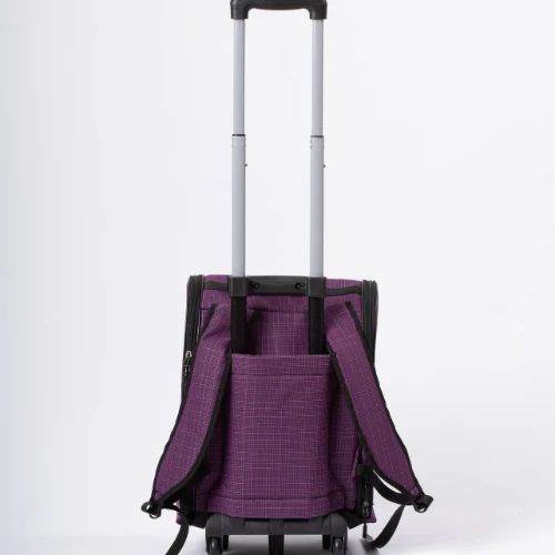 Çekçekli Model Çanta - 10