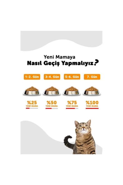 Lavital Tavuklu Yetişkin Kedi Maması 1.5kg