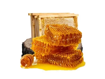 Göksun Petek Balı (1 Kg)