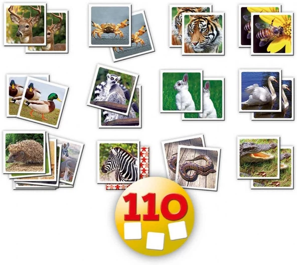 Educa Identic Memory Doğal Yaşam Hafıza Oyunu - 110 Kart - 2