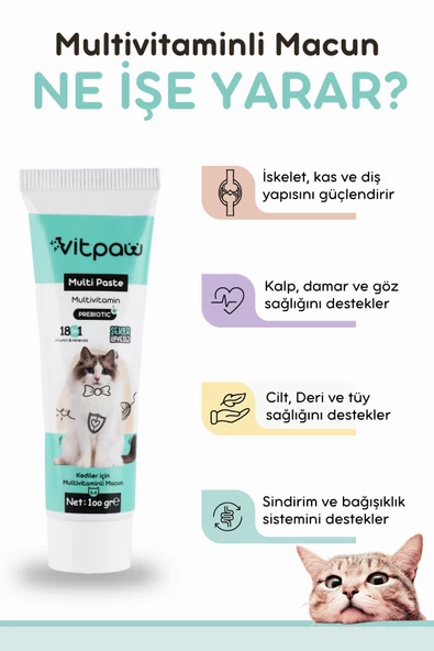Vitpaw Multi Paste 100 Gr. - 2