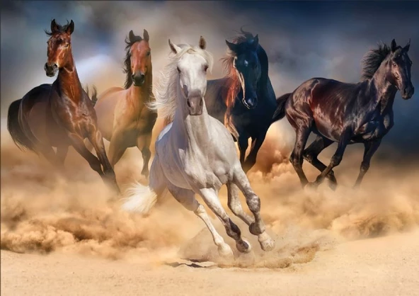 Ks Games 1000 Parça Vahşi Koşan Atlar Puzzle - Sally Curtis - Resim 3