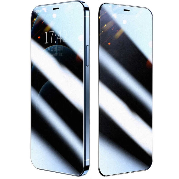 Apple iPhone 12 Pro Max - Ekran Koruyucu Rika Premium Privacy Hayalet Temperli Cam Ekran Koruyucu