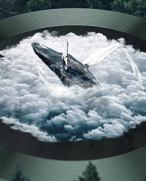 Apple iPhone 11 Pro Max - Kamera Lens Koruyucu CL-02 - 7