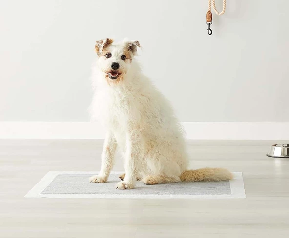 NoName - Kedi ve Köpekler için Tuvalet Eğitim / Çiş Pedi - 60x90cm / 40gr / 50ad - 4