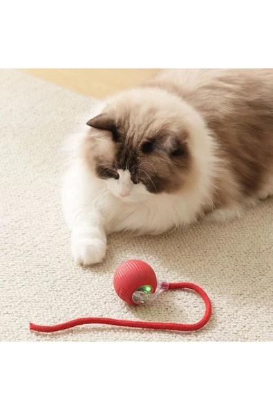 Hareketli Otomatik Yuvarlanan Kuyruklu Top Kedi Oyuncağı Şarj Edilebilir İnteraktif Oyuncak 1 ADET - 7