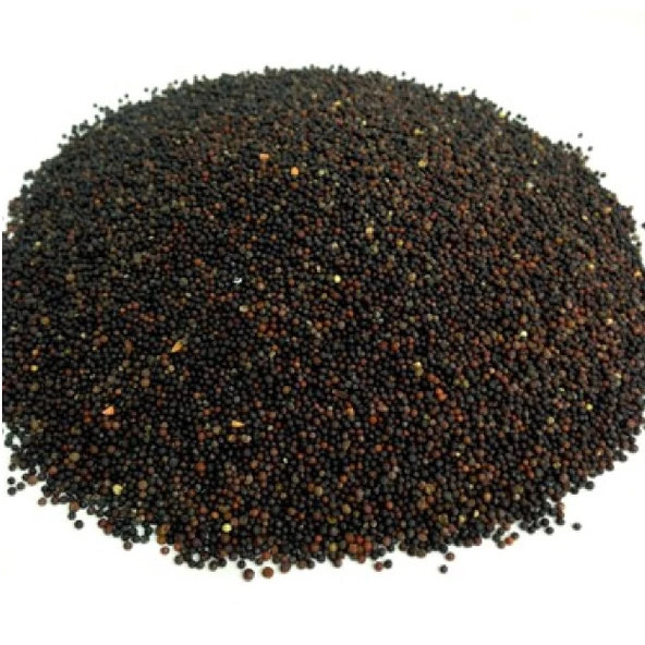 Hardal Tohumu Siyah 1 kg, Derya Eren - 2