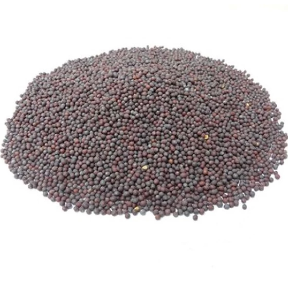 Hardal Tohumu Siyah 1 kg, Derya Eren - 3