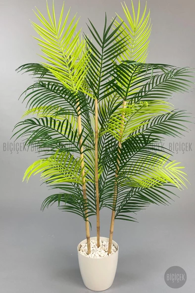 BİÇİÇEK 115cm Areka Ağacı 24 yapraklı yakut Saksıda - 6