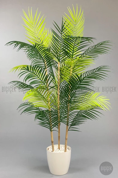 BİÇİÇEK 115cm Areka Ağacı 24 yapraklı yakut Saksıda - 2