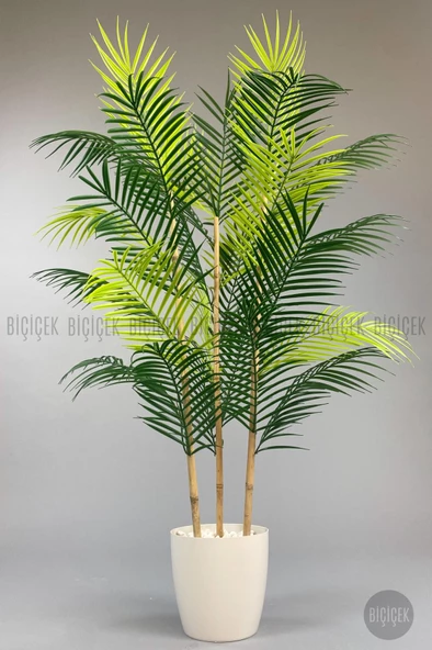 BİÇİÇEK 115cm Areka Ağacı 24 yapraklı yakut Saksıda