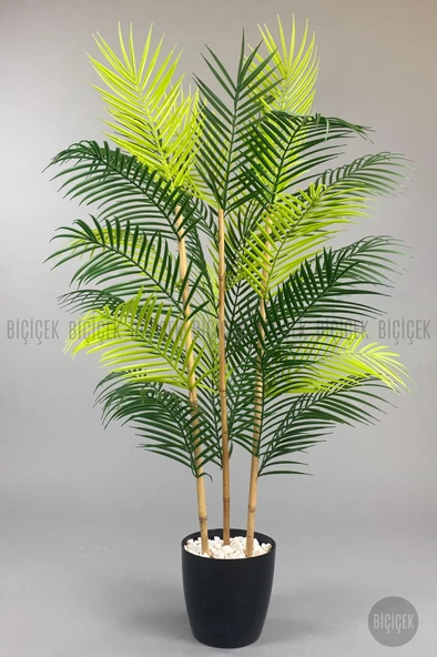 BİÇİÇEK 115cm Areka Ağacı 24 yapraklı yakut Saksıda - 12