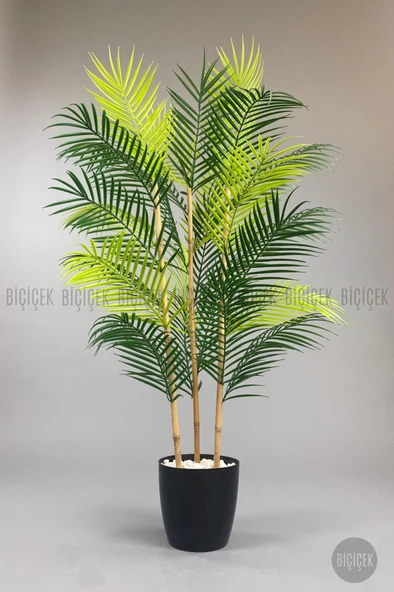 BİÇİÇEK 115cm Areka Ağacı 24 yapraklı yakut Saksıda - 11