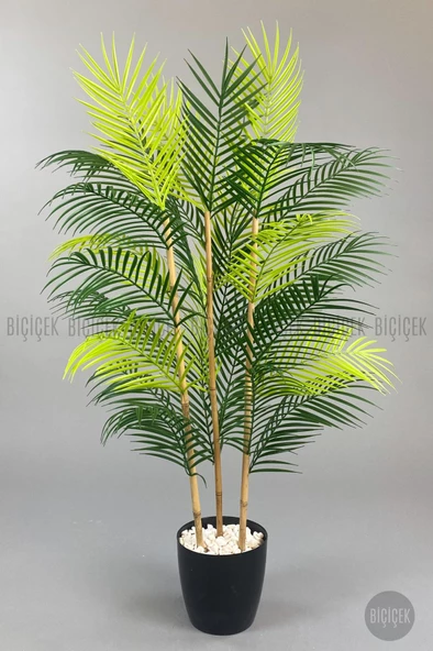 BİÇİÇEK 115cm Areka Ağacı 24 yapraklı yakut Saksıda - 8