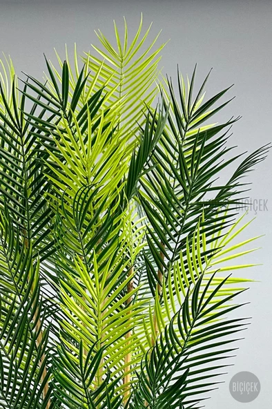 BİÇİÇEK YAPAY AREKA PALMİYESİ 6 GÖVDE GALA SAKSIDA YOĞUN YAPRAKLI - 5