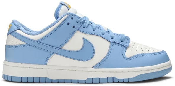 Nike Dunk Low Coast Spor Ayakkabı