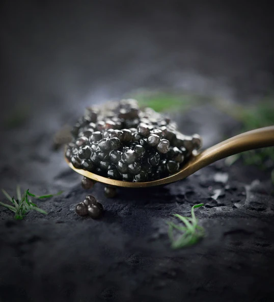 HELLO NATURE BLACK CAVIAR SHAMPOO 300 ML - 3