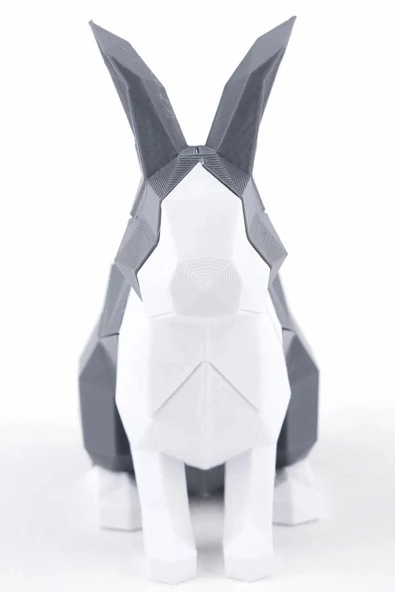 Tavşan (Rabbit) Mıknatıslı 3D Yapboz Puzzle Çevre Dostu Eğitici Oyuncak - 3