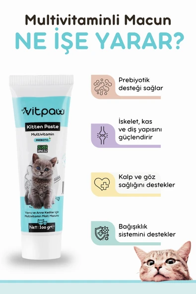 Vitpaw Kitten Paste 100 Gr. - 2