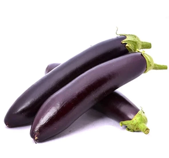 PATLICAN KEMER ( ÇOKLU TOHUM ) - 5 Gram