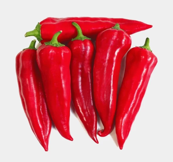 BİBER MARAŞ  ( ÇOKLU TOHUM ) - 5 Gram