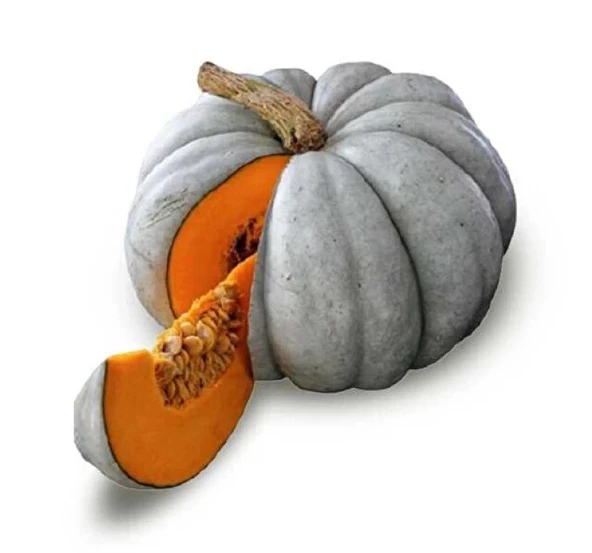 KABAK BAL ( ÇOKLU TOHUM ) - 10 Gram