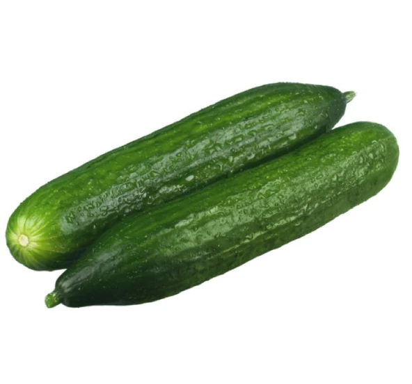 SALATALIK BEITH ALPHA İTHAL ( ÇOKLU TOHUM ) - 5 Gram