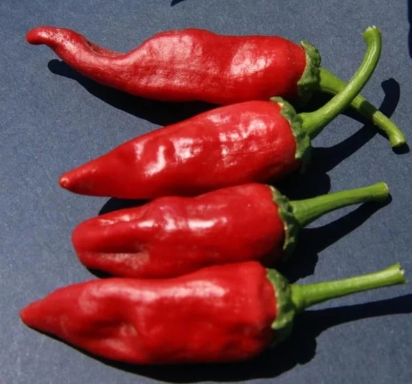 BİBER MARAŞ  ( ÇOKLU TOHUM ) - 5 Gram - 2