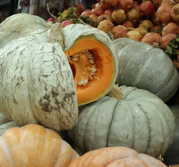 KABAK BAL ( ÇOKLU TOHUM ) - 10 Gram - 2