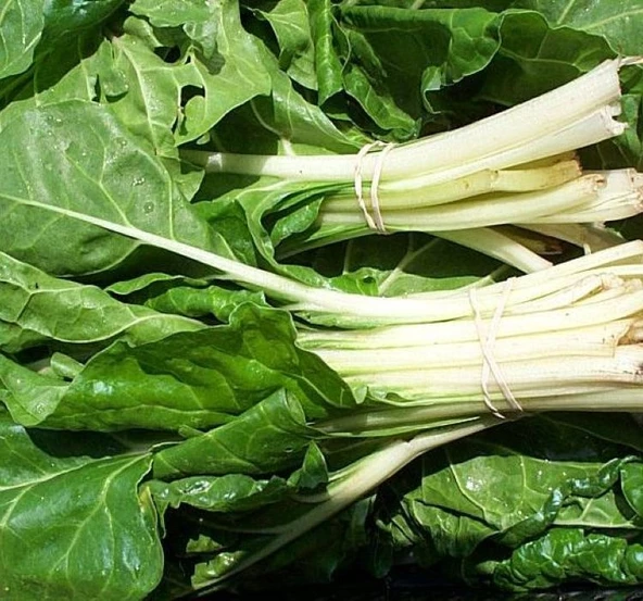 PAZI SARMALIK ( ÇOKLU TOHUM ) - 10 Gram - 2