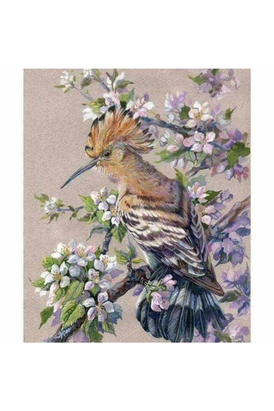 Canvas Bahar Ve Kuş Sayılarla Boyama Seti Kasnaklı 40 X 50 Cm ürün görseli 1