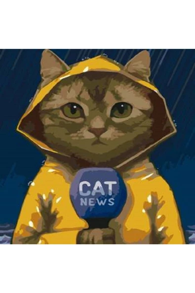 Canvas Muhabir Kedi Sayılarla Boyama Seti  Rulo