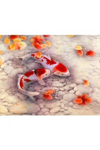 Canvas Japon Balıkları Sayılarla Boyama Seti  Kasnaklı 90 x 110 cm ürün görseli 1