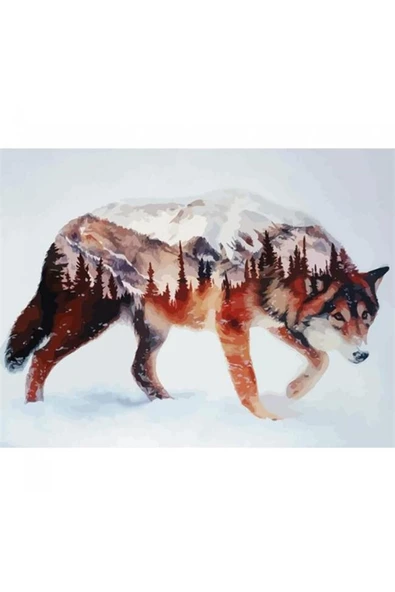 Canvas Kurt Sayılarla Boyama Seti Rulo ürün görseli