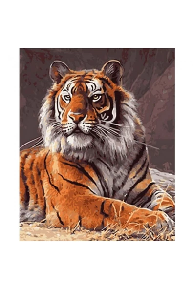 Canvas Güçlü Kaplan Sayılarla Boyama Seti Rulo ürün görseli