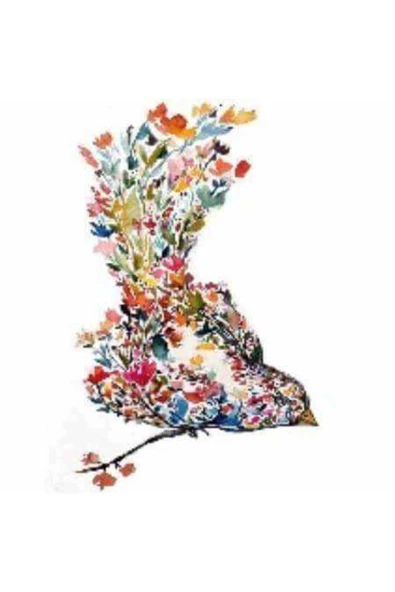 Canvas Zarif Kuş Sayılarla Boyama Seti Kasnaklı 40 X 50 Cm ürün görseli 1