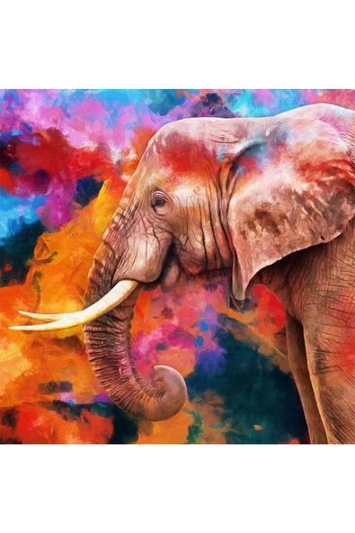 Canvas Güzel Fil Sayılarla Boyama Seti Rulo ürün görseli 1