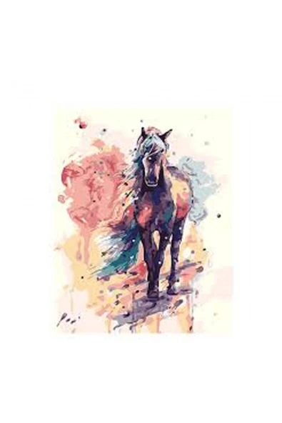 Canvas Düşlerdeki At Sayılarla Boyama Seti   Kasnaklı 60 x 75 cm