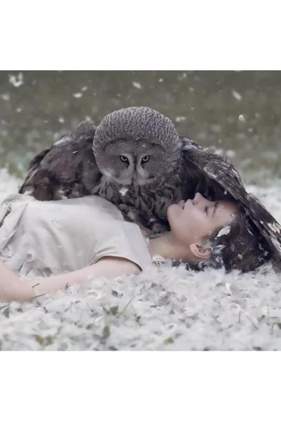 Canvas Baykuş ve Güzel Sayılarla Boyama Seti  Kasnaklı 60 x 75 cm ürün görseli 1