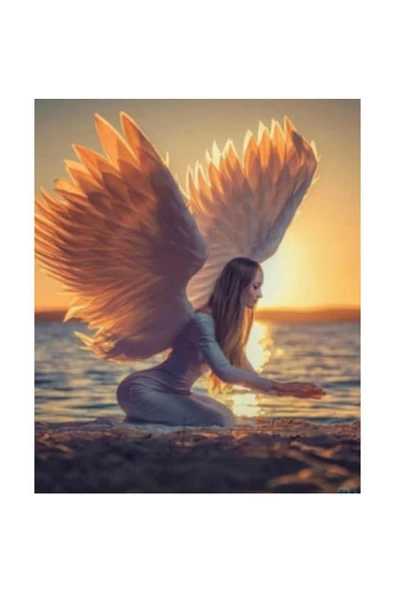 Canvas Kanatlı Kadın Sayılarla Boyama Seti Rulo ürün görseli 1