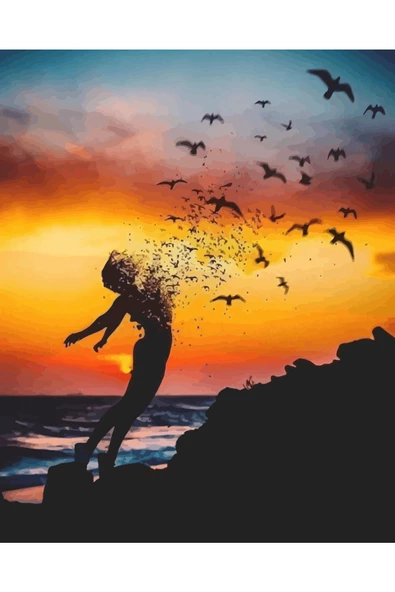 Canvas Uçan Kadın 3 Sayılarla Boyama SetiRulo ürün görseli 1