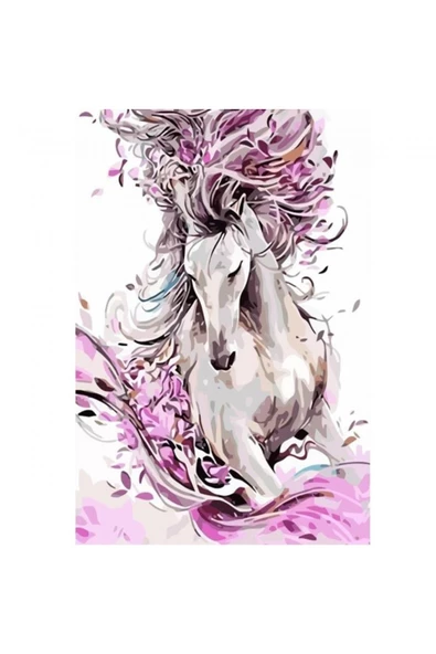 Canvas Masal ve At Sayılarla Boyama Seti  Kasnaklı 60 x 75 cm ürün görseli