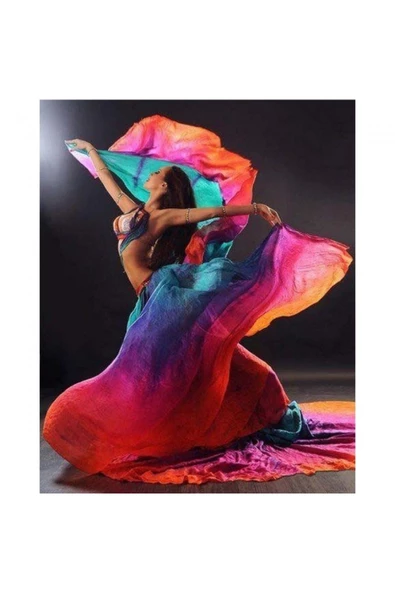 Canvas Renkli Elbiseli Danscı Sayılarla Boyama Seti Rulo ürün görseli 1